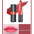 Long-Wear Makeup Mist Matte Lipstick giá tốt